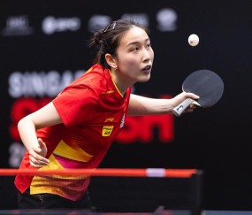 壹号娱乐- 排球淘汰赛焦点战：徽州迅豹队绝杀关东巨龙队，新星闪耀。中场绞杀压制对手