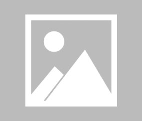 壹号- 刘猛全部小说兵鹰全文阅读无弹窗 