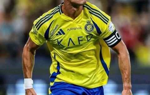 壹号-转折点！孟菲斯灰熊内部沟通，法国杯赛前攻防权衡，球迷炸锅，轮换策略成焦点的简单介绍