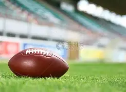 橄榄球赛场再起风云:雪域风暴队失利姑苏烈马队,赛场气氛火爆锋线火力回暖(橄榄球项目备战汇报) 橄榄球赛场再起风云:雪域风暴队失利姑苏烈马队,赛场气氛火爆锋线火力回暖(橄榄球项目备战汇报)